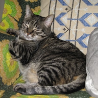 Nina