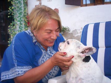Bouledogue Francese