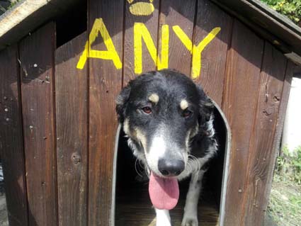 Any