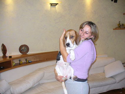 Beagle
