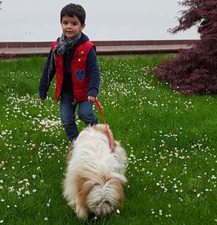 Bubù