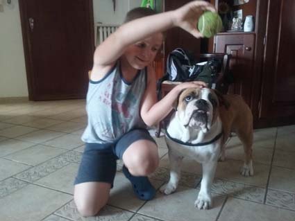 Bully