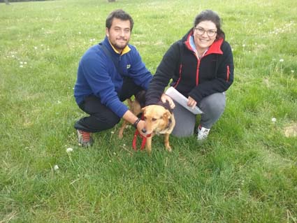 Cagnolina