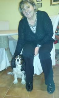 Cavalier king