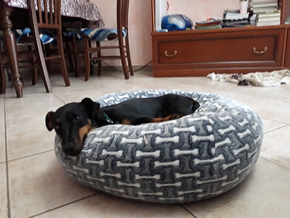 Chicca
