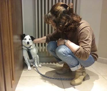 Cucù