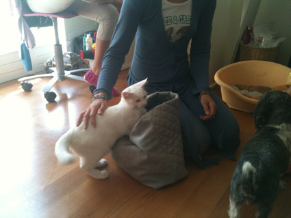 Eva & c.