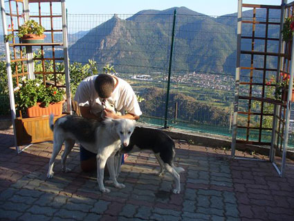 Fratelli