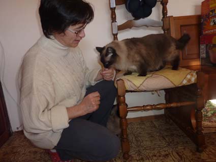 Liberati a coppie