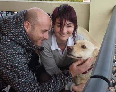 Incrocio Labrador