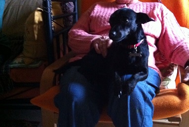 Lola