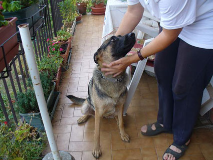 Lupetta