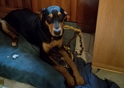 Max