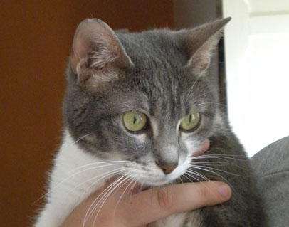 Milly