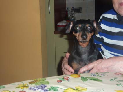 Molly