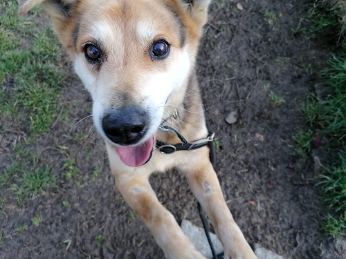 Pit 14 anni!