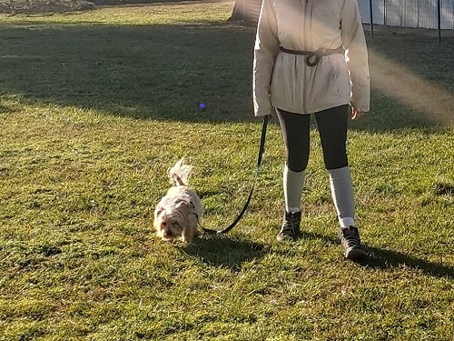 Ciro
