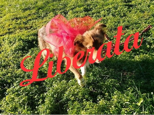 Euridice