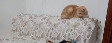 Pincher