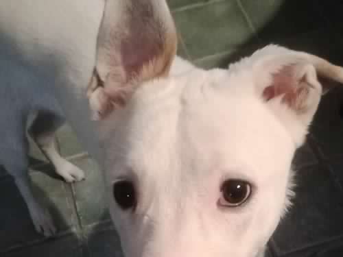 Zoe