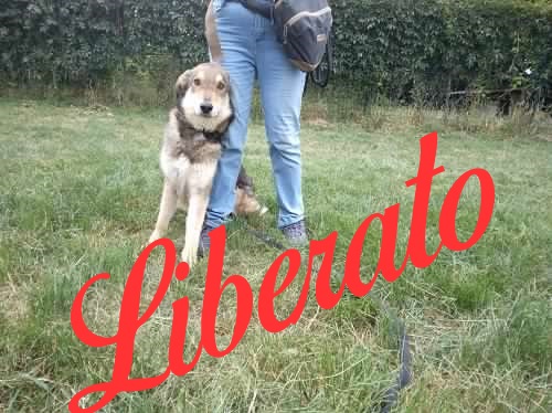 Miky Amore