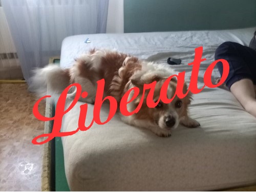 Fortunato!