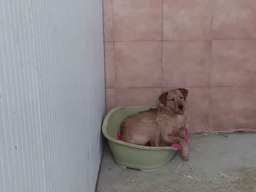 Max