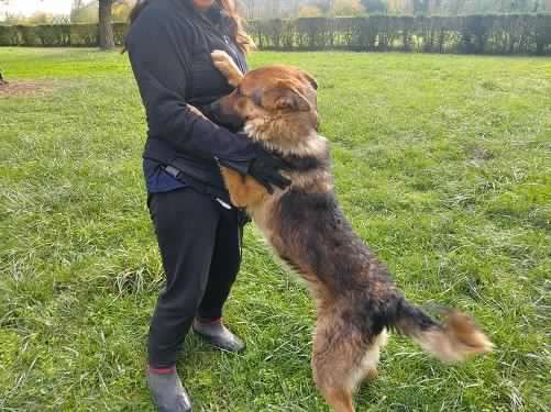 Lupo