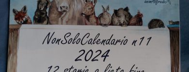 Calendario 2024