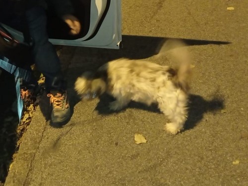 Bimba di 13 anni