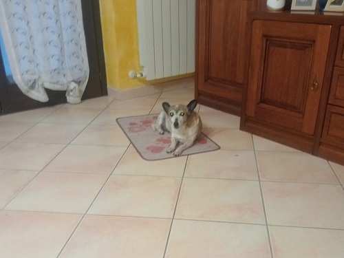 12 anni