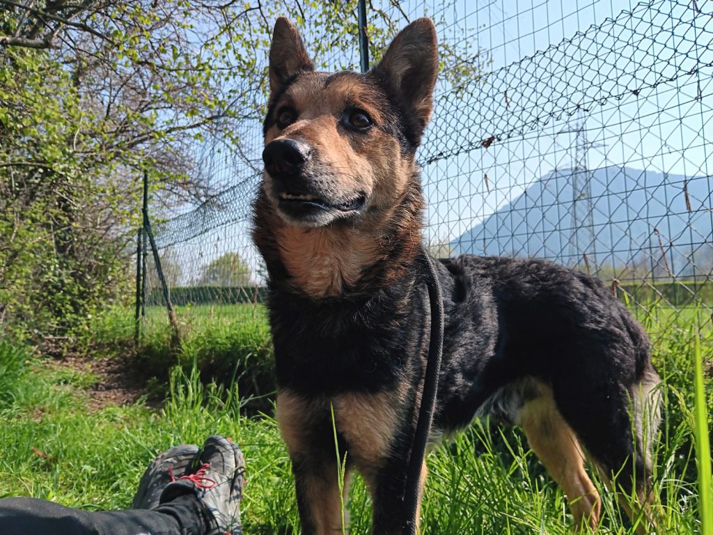 Milo foto nuove