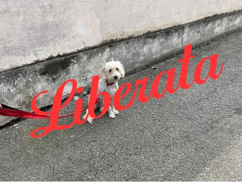 Maria 8 mesi