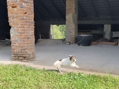 A catena da sempre