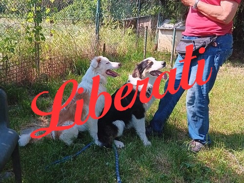 Liberati insieme