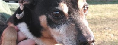 Billy