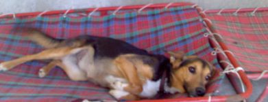 Milly