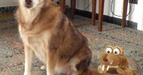 Ciao Tilly