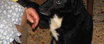 Ciao Sasha