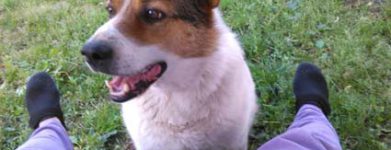 Ciao Giotto