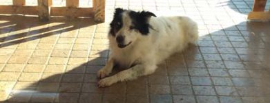 Lilla
