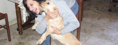 Incrocio bassotto