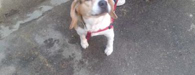 Betty