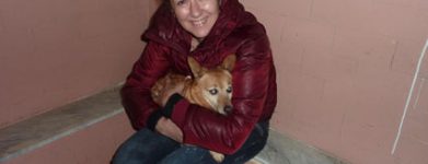Cane cieco