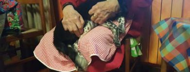 Cucciolona