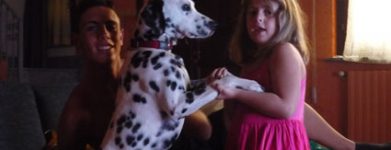 Dalmata