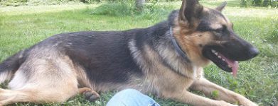 Greta