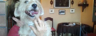 Milly