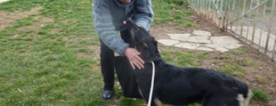 Milly