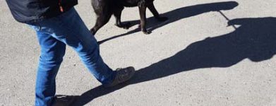 Oreste